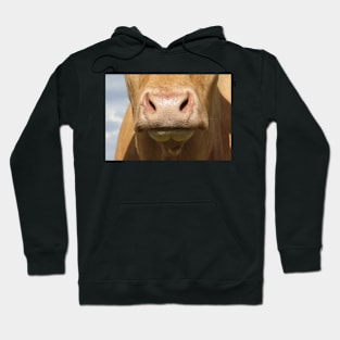 Moo Snout 3 Hoodie